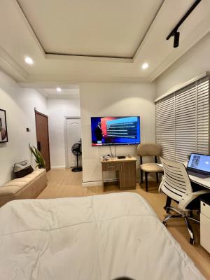 Luxuriously Finished & Fully Furnished Cozy Studio Apartment, Wuye Main, Wuye, Abuja, Flat / Apartment Short Let