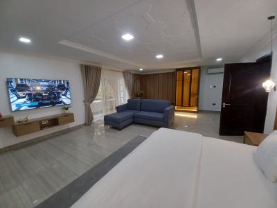 Exquisite 1-bedroom Apartment in Ministers Hill, Ministers Hill, Maitama District, Abuja, Mini Flat (room and Parlour) Short Let