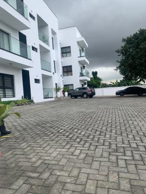 Spacious and Well Maintained 1 Bedroom Apartment ., Adeniyi Jones, Ikeja, Lagos, Mini Flat (room and Parlour) for Sale