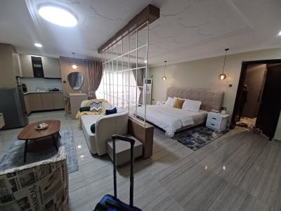 Large Exquisite Studio Apartment As Large As a 1-bedroom, Ministers Hill, Maitama District, Abuja, Self Contain (single Rooms) Short Let