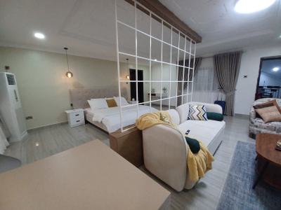 Exquisitely Furnished & Fully Serviced Studio 1-bedroom Apartment, Ministers Hill, Maitama District, Abuja, Mini Flat (room and Parlour) for Rent