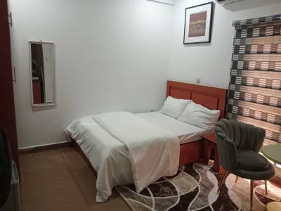 Neatly Furnished Studio Self Contain, Plot 809/810 Dahiru Musdafa Boulevard Wuye, Wuye, Abuja, Self Contain (single Rooms) Short Let