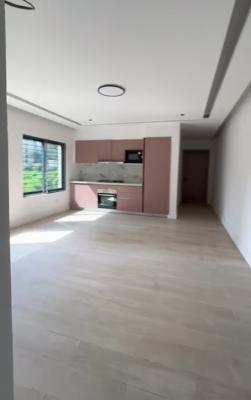 Brand New, Luxury and Spacious 1 Bedroom Apartment (miniflat), Parkview Estate, Ikoyi, Lagos, Mini Flat (room and Parlour) for Sale