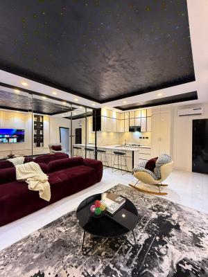 Apartment Name: Picasso Deluxe Max 1 Bedroom Apartment, Chevron, Lekki, Lagos, Mini Flat (room and Parlour) Short Let