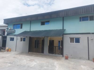 Luxury Spacious 1 Bedroom Mini Flat, Badore, Ajah, Lagos, Mini Flat (room and Parlour) for Rent