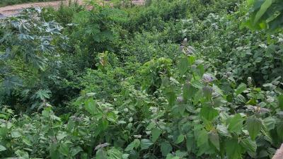 Land, Guzape District, Abuja, Residential Land for Sale