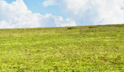 Mixed-use Land Measure 7,024 Sqm, Victoria Island Extension, Victoria Island (vi), Lagos, Mixed-use Land for Sale