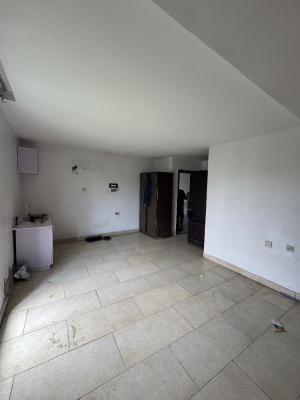 Mini Flat, Chevy View Estate, Lekki Expressway, Lekki, Lagos, Mini Flat (room and Parlour) for Rent