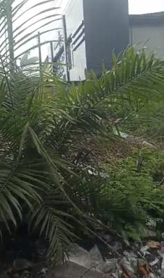Joint Venture Deal., Coker Estate, Yaba, Lagos, Mixed-use Land Joint Venture