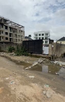 Closable Joint Ventures., Freedom Way, Lekki Phase 1, Lekki, Lagos, Mixed-use Land Joint Venture
