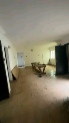 Standard and Executive 3 Bedroom Flat, Ilupeju, Lagos, Flat / Apartment for Rent
