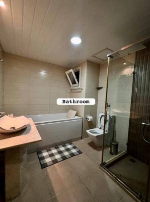 Nicely Fully Furnished 3bedroom Flat with Bq, Banana Island, Banana Island, Ikoyi, Lagos, Flat / Apartment for Rent