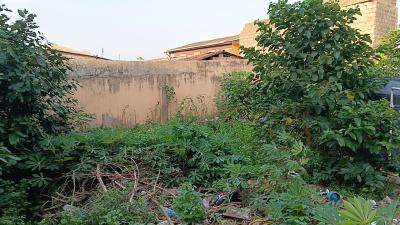 Full Plot of Land, Abiola Estate, Ayobo, Lagos, Mixed-use Land for Sale