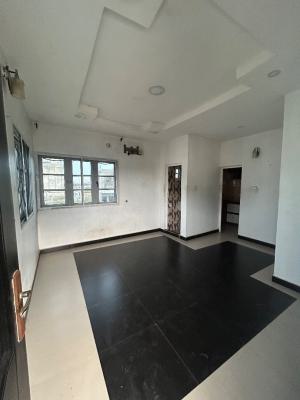Well Maintained and Spacious 1 Bedroom Apartment, Ologolo, Lekki, Lagos, Mini Flat (room and Parlour) for Rent