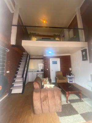 Fully Furnished Mini Flat Loft Apartment in a Serene Area, Onike, Yaba, Lagos, Mini Flat (room and Parlour) for Rent