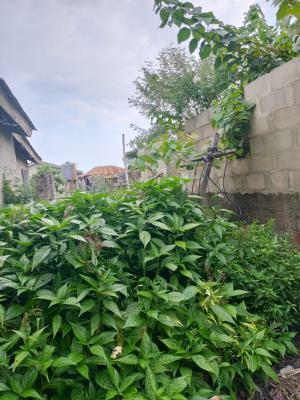 Beautiful 800sqm Land at Lekki Phase 1, Off Fola Osibo Street Lekki Phase 1 Proper, Lekki Phase 1, Lekki, Lagos, Residential Land for Sale