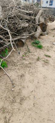 1400 Sqm with Approval and Piling Foundation, Gerrard Road, Old Ikoyi, Ikoyi, Lagos, Residential Land for Sale