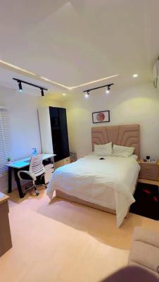 Cozy Furnished Studio Self Contain, Plot 809, Dahiru Musdafa Boulevard Wuye., Wuye, Abuja, Self Contain (single Rooms) Short Let
