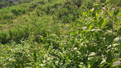 Land, Jahi, Abuja, Residential Land for Sale