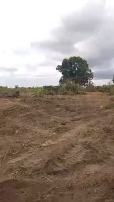 Bonanza! 50acres Sharing Rd with Ibeju Lekki New Airport, Close Ibeju Lekki New Airport, Ibeju, Lagos, Commercial Land for Sale