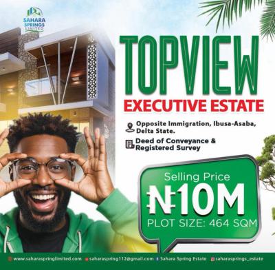 Registered Survey and Deed of Conveyance, Opposite  Immigration Ibusa  Asaba  Delta, Asaba, Delta, Residential Land for Sale