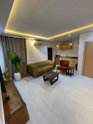 Luxury One Apartment with Snooker Board & Swimming Pool, Victoria Island, Oniru, Victoria Island (vi), Lagos, Flat / Apartment Short Let