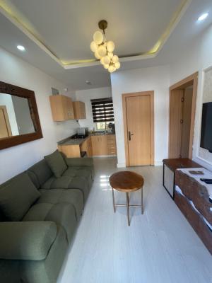 Luxury (studio) Apartment with Snooker Board & Swimming Pool, V.i, Oniru, Victoria Island (vi), Lagos, Flat / Apartment Short Let