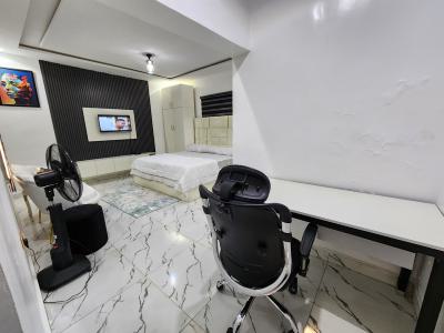 Newly Finished and Furnished Luxury Studio Apartment — Works and Housing Estate, Karu, Abuja