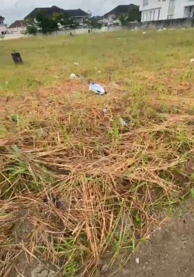 Prime Land Measuring 500sqms in One of Lekkis Most Exclusive Estates, Pinnock Beach Estate, Osapa, Lekki, Lagos, Residential Land for Sale