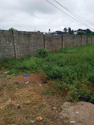 Affordable and High Return in Investment Land in Epe, Odo-omola After Access Bank, Epe, Lagos, Commercial Land for Sale