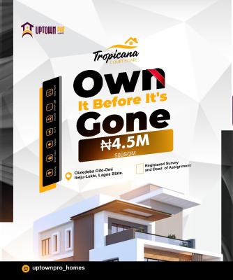 Unlock Growth Potential in Tropicana Court Estates Serene Oasis!, Ode Omi, Ibeju Lekki, Lagos, Commercial Land for Sale