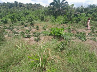 100ft By 200ft Land, Obadolovbiyeyi Community Off Benin Agbor Road Bypass Benin City, Benin, Oredo, Edo, Land for Sale
