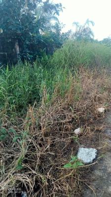 1 Plot of Land, 6th Avenue Estate,  Festac Village, Festac, Amuwo Odofin, Lagos, Residential Land for Sale