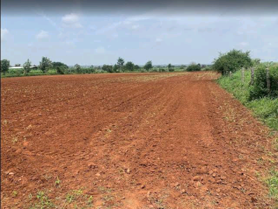 Buy Lands with 50 Percent Yearly Profit, Ibeju Lekki, Lagos, Land for Sale