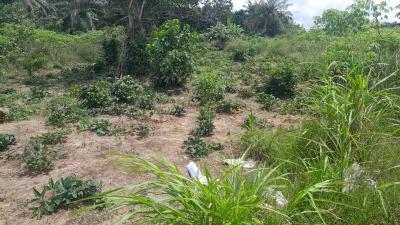 100ft By 100ft Land, Obadolovbiyeyi Community Off Benin Agbor Road Bypass Benin City, Benin, Oredo, Edo, Land for Sale