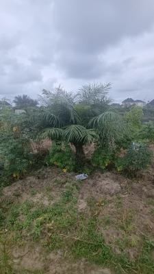 640sqm Land, Ogogoro Village, Ogunfayo, Awoyaya, Ibeju Lekki, Lagos, Residential Land for Sale
