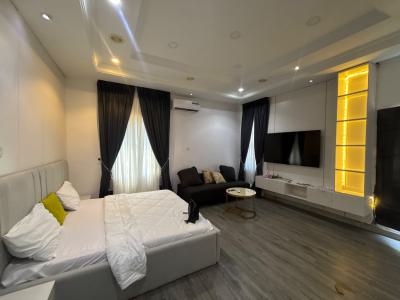 Spacious Studio Apartment, Lekki Phase 1, Lekki, Lagos, Flat / Apartment Short Let