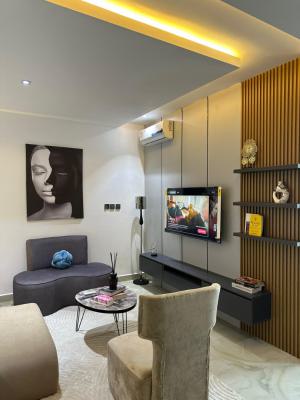 Standard Massive Studio Apartment, The Verde, Wuye, Abuja, Self Contain (single Rooms) Short Let