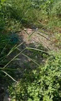 a 500 Sqm of Land for Development, Ilupeju Estate, Ilupeju, Lagos, Residential Land Joint Venture
