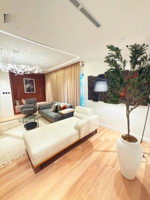 Premium, Exclusive & Luxurious 2 Bedroom Apartment, Wuse 2, Abuja, Flat / Apartment Short Let