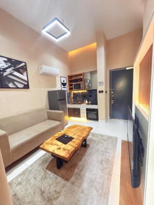 Luxuryshortsabuja Classic and Lovely 1 Bedroom Apartment, Guzape District, Abuja, Flat / Apartment Short Let