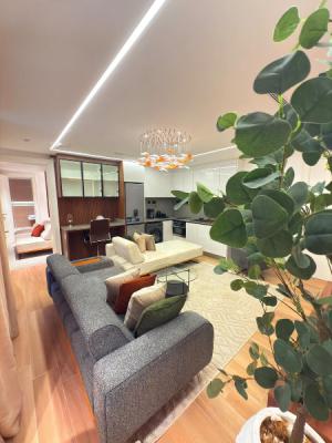 Luxury_shorts_abuja Very Premium and Exclusive 1 Bedroom Apartment, Wuse 2, Abuja, Flat / Apartment Short Let