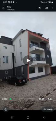 a Newly Built 5 Bedroom Detached Duplex with 2room Bq, Asokoro Abuja Diplomatic Zone, Asokoro District, Abuja, Detached Duplex for Rent