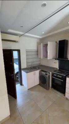 Lovely Furnished 2 Bedroom Flat, Anifowoshe Street, Ikeja, Lagos, Flat / Apartment for Rent