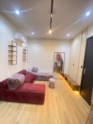 1bedroom/mini Flat, Glover Road Ikoyi, Ikoyi, Lagos, Mini Flat (room and Parlour) for Rent