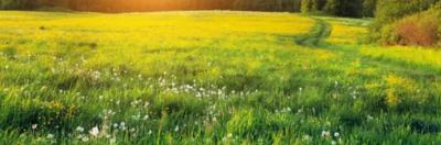 100 Hectares of Private Housing Estate Land with Fcda R of O, Maitama 2, Maitama 2, Maitama District, Abuja, Residential Land for Sale