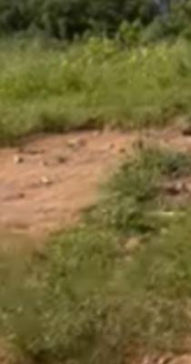 100 Hectares Comprehensive Development Land with Fcda R of O, Maitama 2, Maitama District, Abuja, Mixed-use Land for Sale