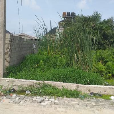 Fantastic 1,550. Square Metres  Corner Piece Plot, Chevy View Estate, Lekki, Lagos, Mixed-use Land for Sale