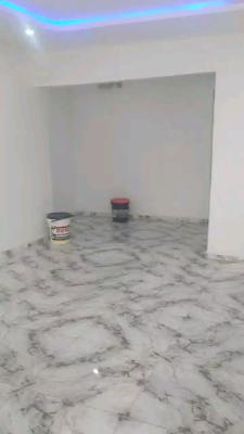 Standard and Spacious 2beroom Flat, Ilupeju, Ilupeju, Lagos, Flat / Apartment for Rent