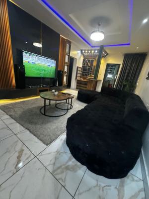 Beautifully Furnished 2 Bedroom Apartment, Ikate, Lekki, Lagos, Flat / Apartment for Rent
